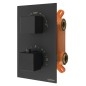 Robinet de douche thermostatique LATUS, Boîte d'installation, 2 Outlets, noir