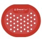FRESCOBLUE Écran urinaire 168x140 mm, rouge