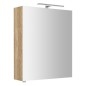 RIWA miroir armoire incl. Lumière LED, 60x70x17cm, chêne Alabama RIWA miroir armoire incl. Lumière LED, 60x70x17cm, chêne Alabama