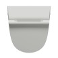 COMMUNITY retour inlet urinal avec des trous de couvercle 31x65cm, cenere mat