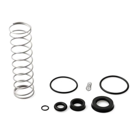 Set de joints de rechange et de ressort pour QK10051, QK11051