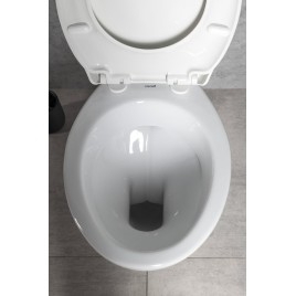 Fermer Toilettes jumelées, Dual Flush Plate 4,5/6l, blanc