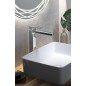 Sapho Forata - Mitigeur de lavabo, chrome FT007