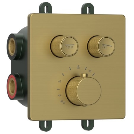 SMARTSELECT robinet de douche caché, boîte, 2 sorties, tapis d'or