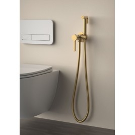 Robinet de mixeur caché ICONIC avec douche d'arrêt, ronde, tapis d'or