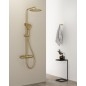 Colonne de douche ICONIC avec robinet de levier de mixeur, tapis d'or Colonne de douche ICONIC avec robinet de levier de mixeur, tapis d'or