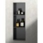 INSERTA niche de douche encastrée, 270x810 mm, acier inoxydable, anthracite INSERTA niche de douche encastrée, 270x810 mm, acier inoxydable, anthracite