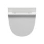 COMMUNITY retour inlet urinal avec des trous de couvercle 31x54,5cm, blanc mat