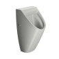 COMMUNITY back inlet urinal 31x65cm, cenere mat