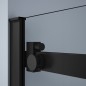 DRAGON BLACK Porte de douche 1500mm, verre clair DRAGON BLACK Porte de douche 1500mm, verre clair