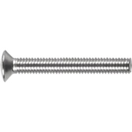 Vis M6x80mm, acier inoxydable