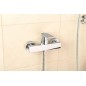 Aqualine Daphne - Mitigeur de douche, chrome DH701