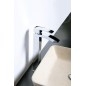 Sapho Ginko - Mitigeur de lavabo, chrome 1101-04