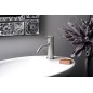 Sapho Minimal - Mitigeur de lavabo, inox MI002