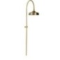 ANTEA Shower Combi Set sans Mixer Tap, bronze