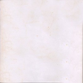 FARO Bianco 20x20 (1m2)