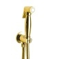 Bidet spray, classique, flexible et porte-douche avec douche, or