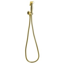 Bidet spray, classique, flexible et porte-douche avec douche, or