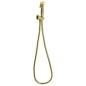 Bidet spray, classique, flexible et porte-douche avec douche, or