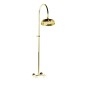 ANTEA Shower Combi Set sans Mixer Tap, or