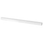 JOLLY White 1,2X20 (EQ-24) JOLLY White 1,2X20 (EQ-24)