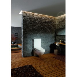 Geberit Monolith - Module sanitaire pour WC suspendu