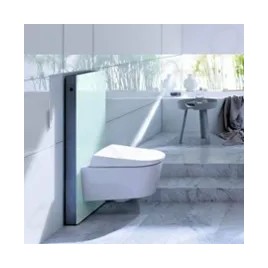 Geberit Monolith - Module sanitaire pour WC suspendu