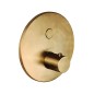 Paffoni Compact Box - Mitigeur de douche thermostatique encastré, or brossé CPT013HGSP Paffoni Compact Box - Mitigeur de douche thermostatique encastré, or brossé CPT013HGSP