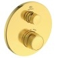 Ideal Standard CeraTherm Navigo - Mitigeur de douche thermostatique encastré, Brushed Gold A7295A2