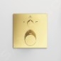 Ideal Standard CeraTherm - Mitigeur de baignoire thermostatique encastré, Brushed Gold A7522A2