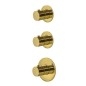 Paffoni Modular Box - Mitigeur thermostatique encastré, pour 2 sorties, doré MDE018HG Paffoni Modular Box - Mitigeur thermostatique encastré, pour 2 sorties, doré MDE018HG