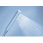 Grohe Euphoria Cube - Douchette, chrome 27698000
