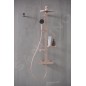 Ideal Standard ALU+ - Set de douche avec thermostat, diamètre 26 cm, 2 jets, rosé BD583RO