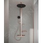 Ideal Standard ALU+ - Set de douche avec thermostat, diamètre 26 cm, 2 jets, rosé BD583RO
