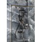 Sapho Solaris - Set de douche avec thermostat, 5 jets, noir mat/doré WD139G