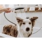 Hansgrohe DogShower - Pommeau de douche 150, 3 jets, buses de massage, rose 26640560