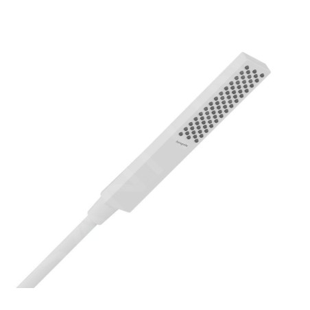 Hansgrohe Pulsify E - Pommeau de douche, EcoSmart+, blanc mat 24321700