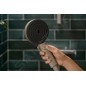 Hansgrohe Pulsify Planet Edition - Pommeau de douche, 3 jets, EcoSmart+, beige 26077210