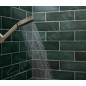 Hansgrohe Pulsify Planet Edition - Pommeau de douche, 3 jets, EcoSmart+, beige 26077210