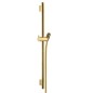 Hansgrohe Unica'S - Barre de douche 650 mm avec flexible, aspect doré poli 28632990