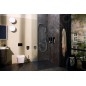 Hansgrohe Pulsify E - Pommeau de douche, EcoSmart+, chrome 24321000