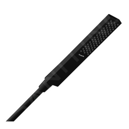 Hansgrohe Pulsify E - Pommeau de douche, EcoSmart+, noir mat 24321670