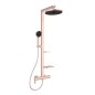 Ideal Standard ALU+ - Set de douche avec mitigeur, diamètre 26 cm, 2 jets, rosé BD584RO