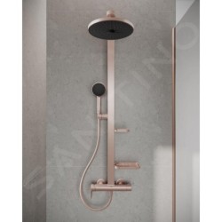 Ideal Standard ALU+ - Set de douche avec mitigeur, diamètre 26 cm, 2 jets, rosé BD584RO