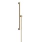 Hansgrohe Unica - Barre de douche 66 mm, avec flexible, bronze brossé 24402140