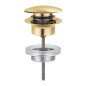 Grohe Garnitures de vidage - Bonde de vidage, Cool Sunrise brossé 65807GN0 Grohe Garnitures de vidage - Bonde de vidage, Cool Sunrise brossé 65807GN0