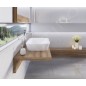 Ravak Ceramic - Vasque, 600x400 mm, blanc XJX01160002 Ravak Ceramic - Vasque, 600x400 mm, blanc XJX01160002