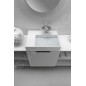 Laufen Kartell - Lavabo 600x460 mm, avec 1 trou pour robinetterie, SaphirKeramik, avec LCC, blanc H8103354001111 Laufen Kartell - Lavabo 600x460 mm, avec 1 trou pour robinetterie, SaphirKeramik, avec LCC, blanc H8103354001111