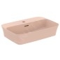 Ideal Standard Ipalyss - Lavabo à poser, 550x380 mm, avec trop-plein, trou pour robinet, Nude E2077V7 Ideal Standard Ipalyss - Lavabo à poser, 550x380 mm, avec trop-plein, trou pour robinet, Nude E2077V7