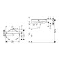 Hansgrohe Xuniva D - Lavabo à poser, 60x45 cm, avec trop-plein, trou pour robinet, SmartClean, blanc 61078450